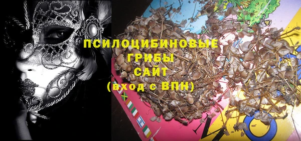 дурь Белокуриха