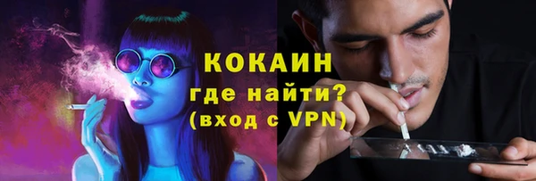 гидра Белоозёрский