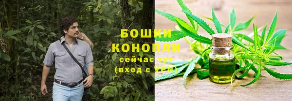 гидра Белоозёрский