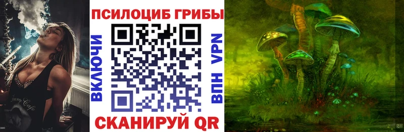 Купить где  Болохово  Галлюциногенные грибы Psilocybe 